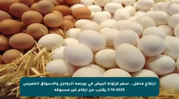 ارتفاع مذهل.. سعر كرتونة البيض في بورصة الدواجن والأسواق الخميس 2-10-2025 يقترب من أرقام غير مسبوقة